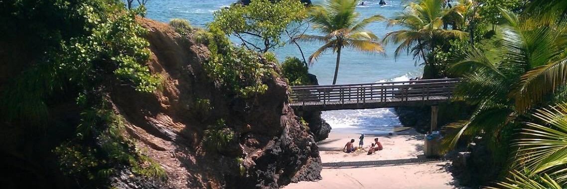 Keisha Sirju 🇹🇹🏝️😎 banner