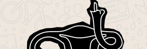 FlopaFoto's profile banner image
