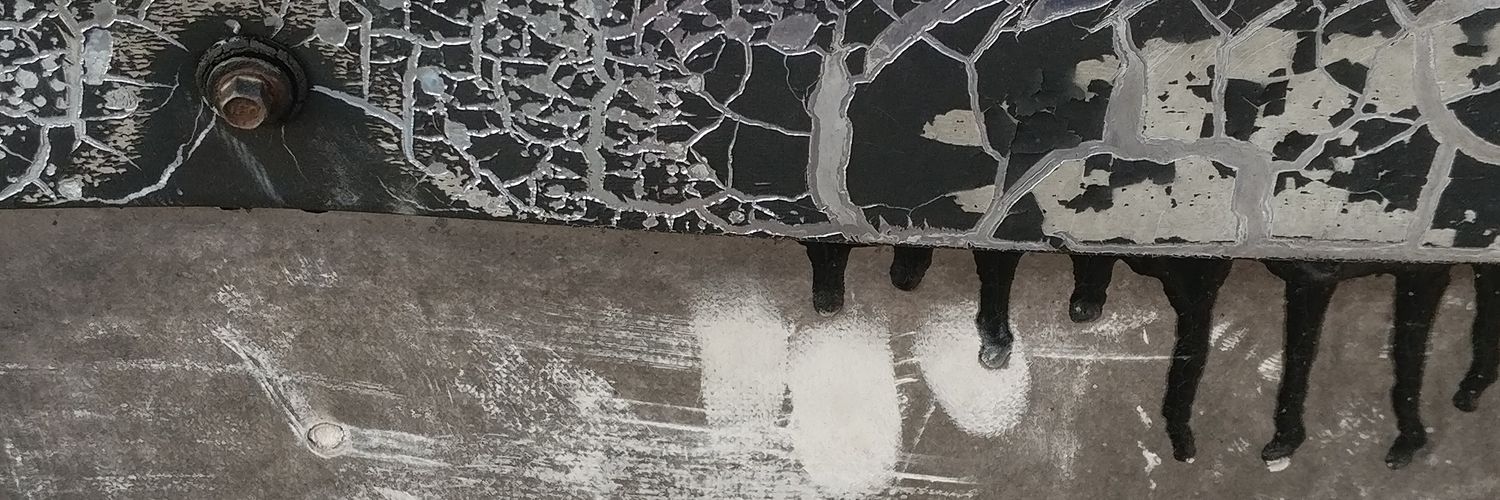 danielle applestone banner