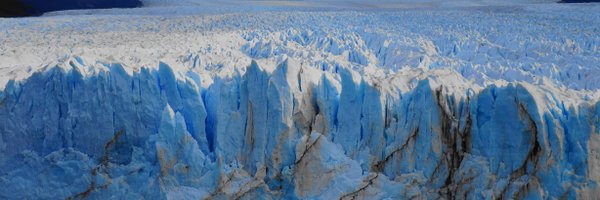 woodbinenyc Profile Banner