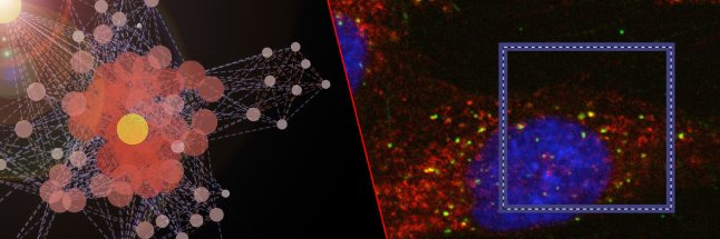 beringresearch's profile banner image