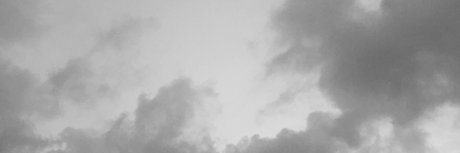 tnp_f's profile banner image