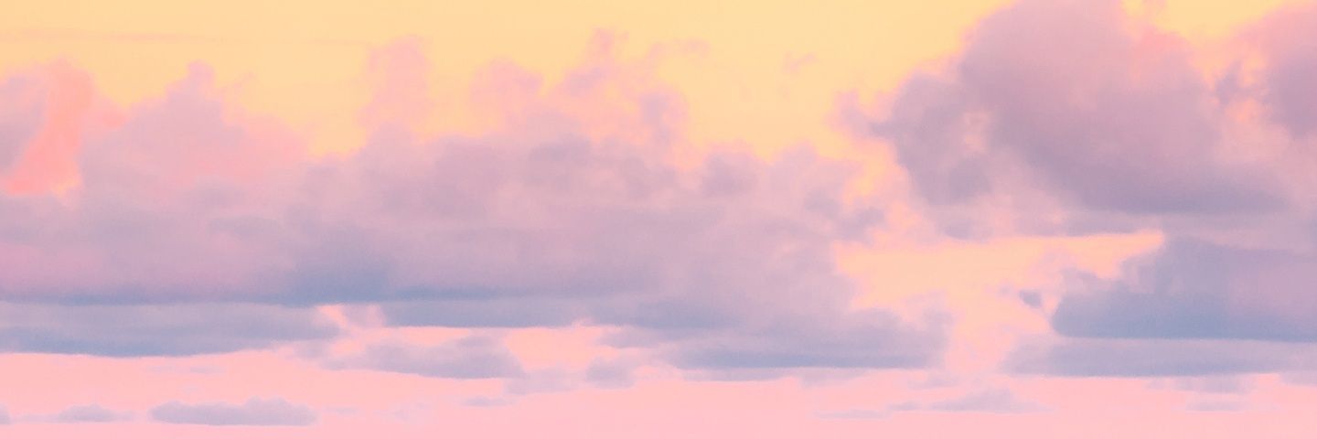 DvVika01's profile banner image
