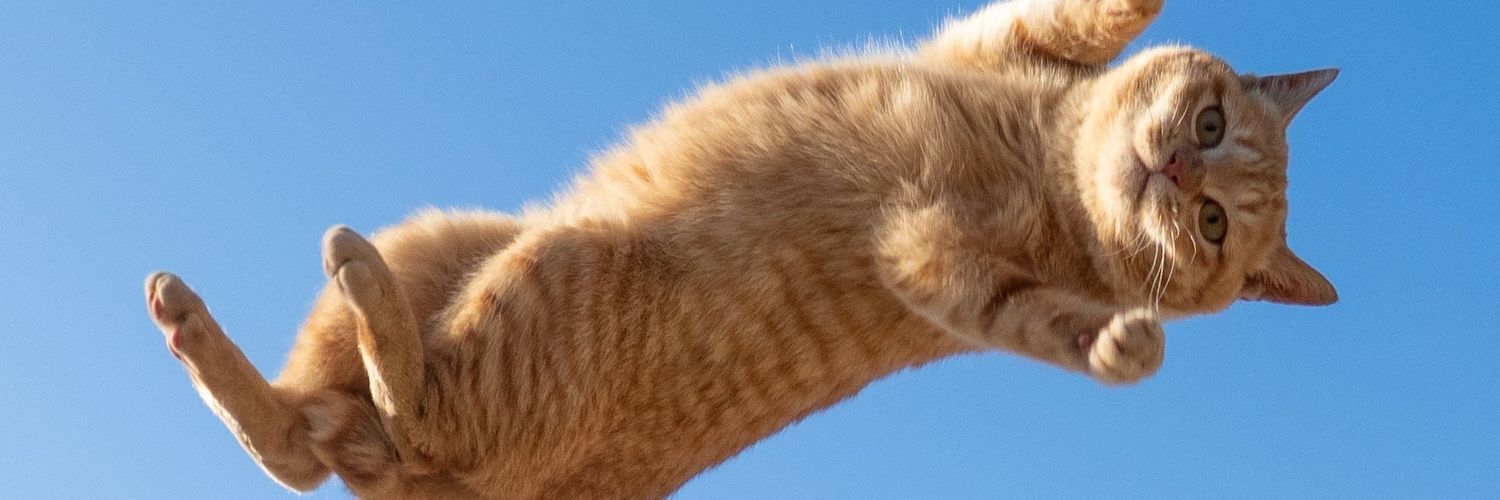mxvvt's profile banner image
