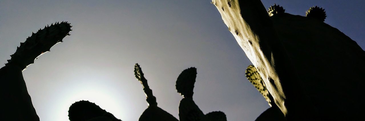 dianavitall's profile banner image