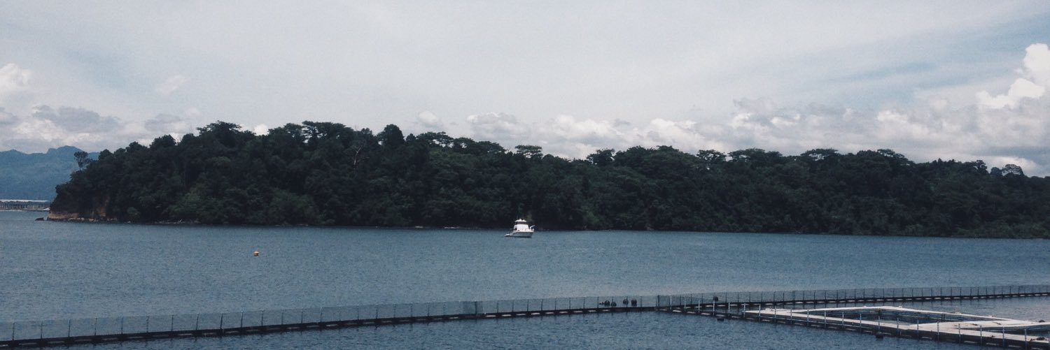 mailusx's profile banner image