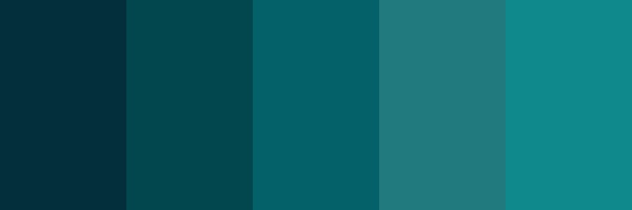 Melissa Torrez banner