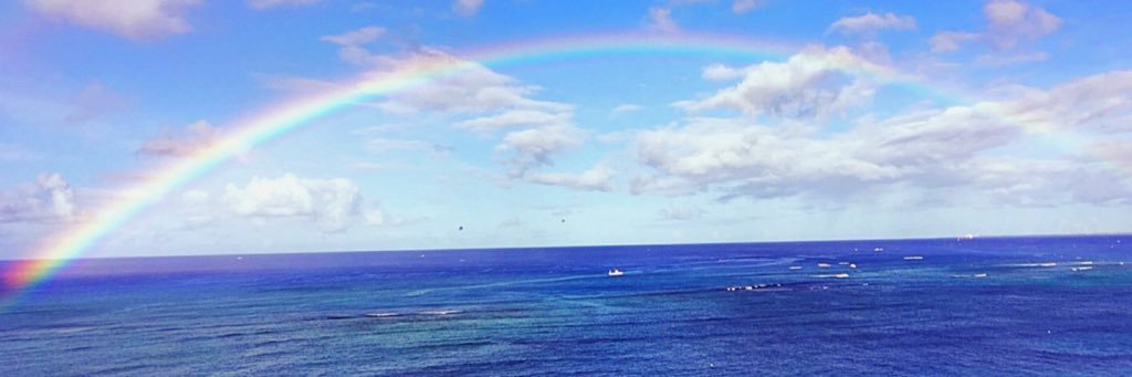 megumiys's profile banner image