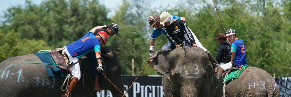 ElephantStoryTX's profile banner image
