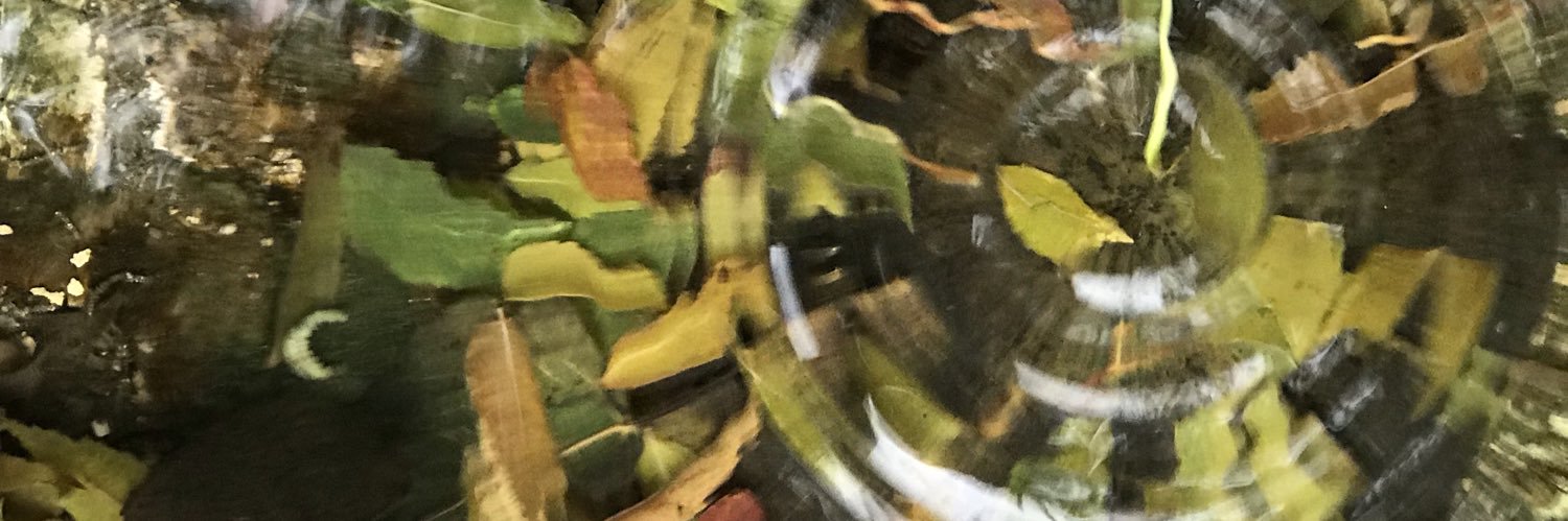 EdaKarakas_'s profile banner image