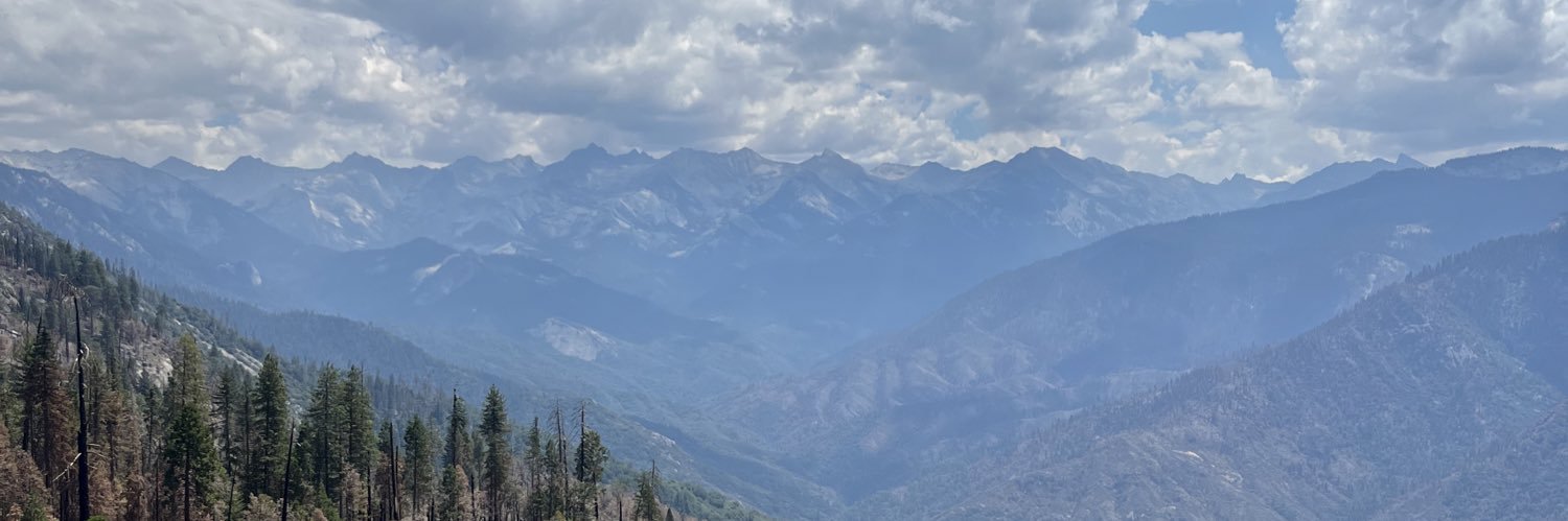 gracedoughertyy's profile banner image