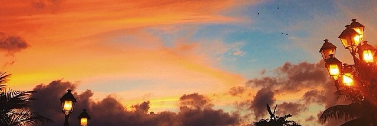 nickulinski's profile banner image