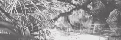 gcyxf's profile banner image