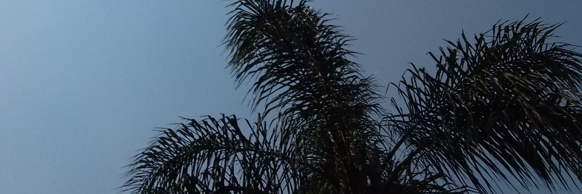 PcFullCel's profile banner image
