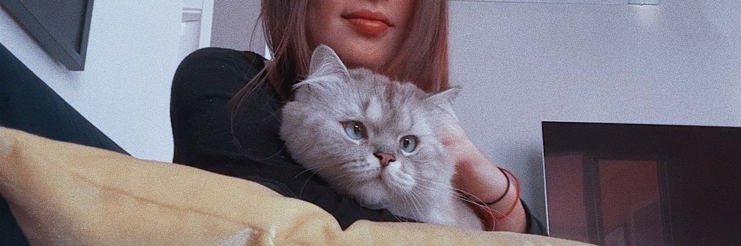 sofiacanongia's profile banner image
