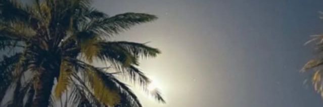 ffss78293's profile banner image