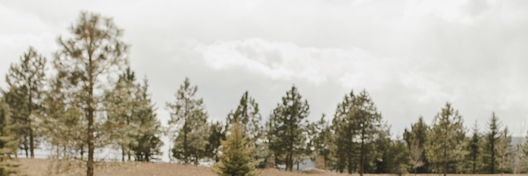 BuschCarlie's profile banner image