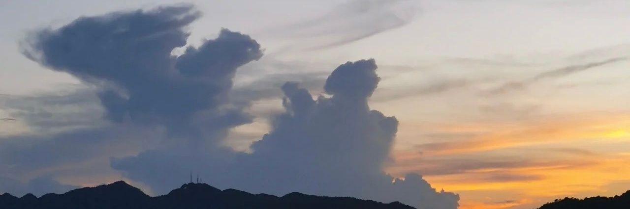 Alpha_Chen_'s profile banner image