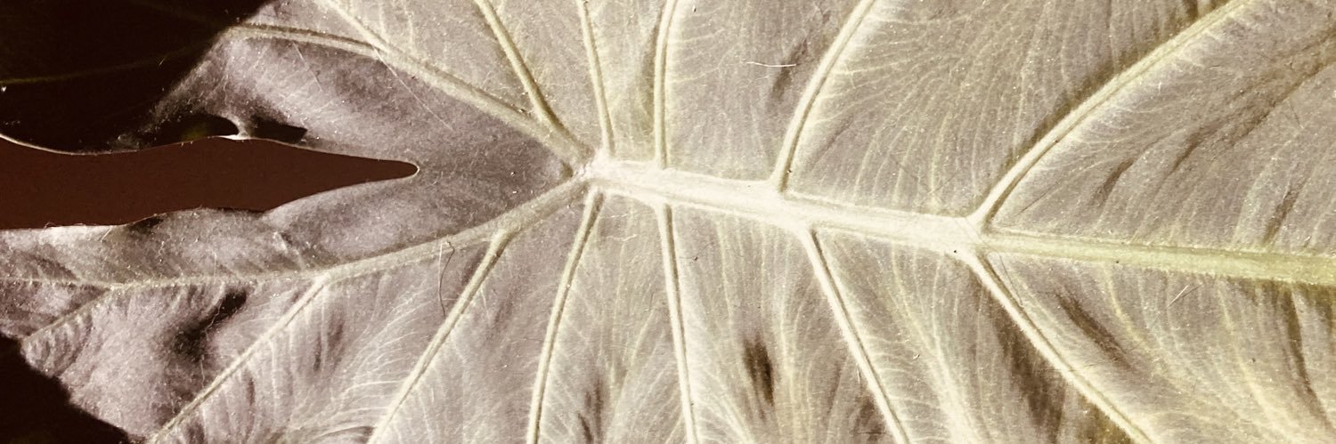 frbre's profile banner image