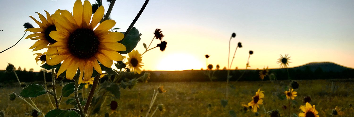 ACridebring's profile banner image