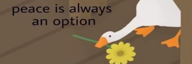 KufflerSarah's profile banner image