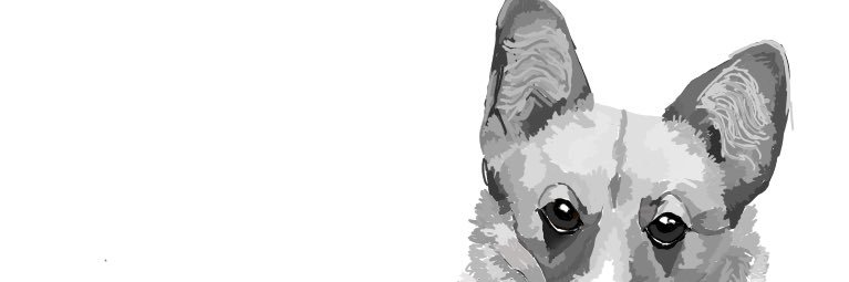 RudyBlueCrew's profile banner image