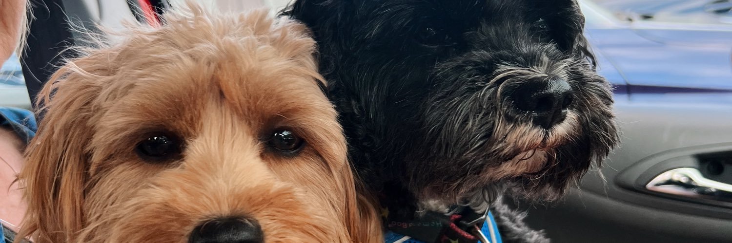 Millie Waller banner