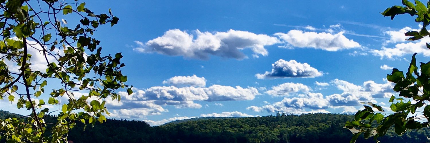 cindytop83's profile banner image