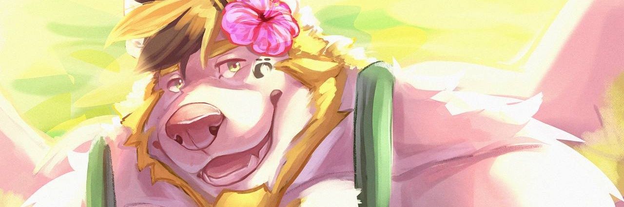 Kidestos banner