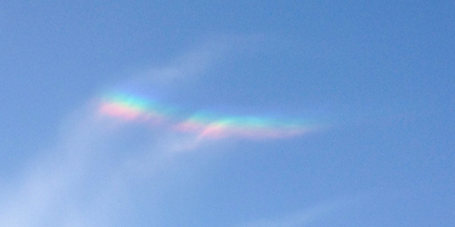 Margit Sbicca Mulder banner