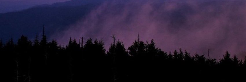 wxnderdes's profile banner image