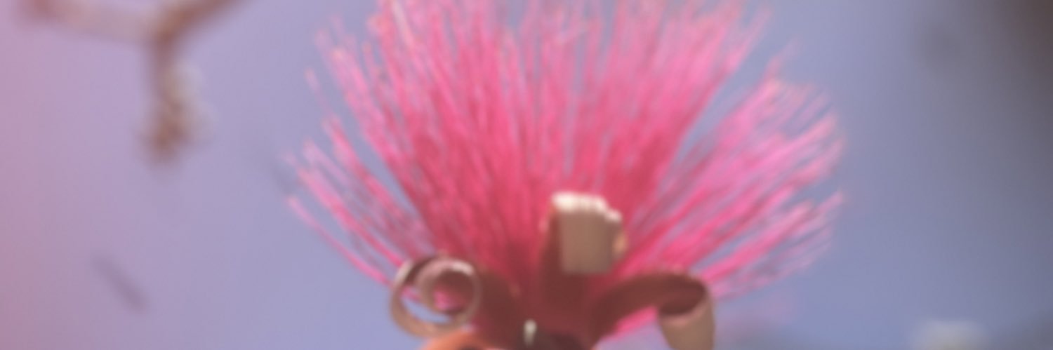 gabysavil's profile banner image