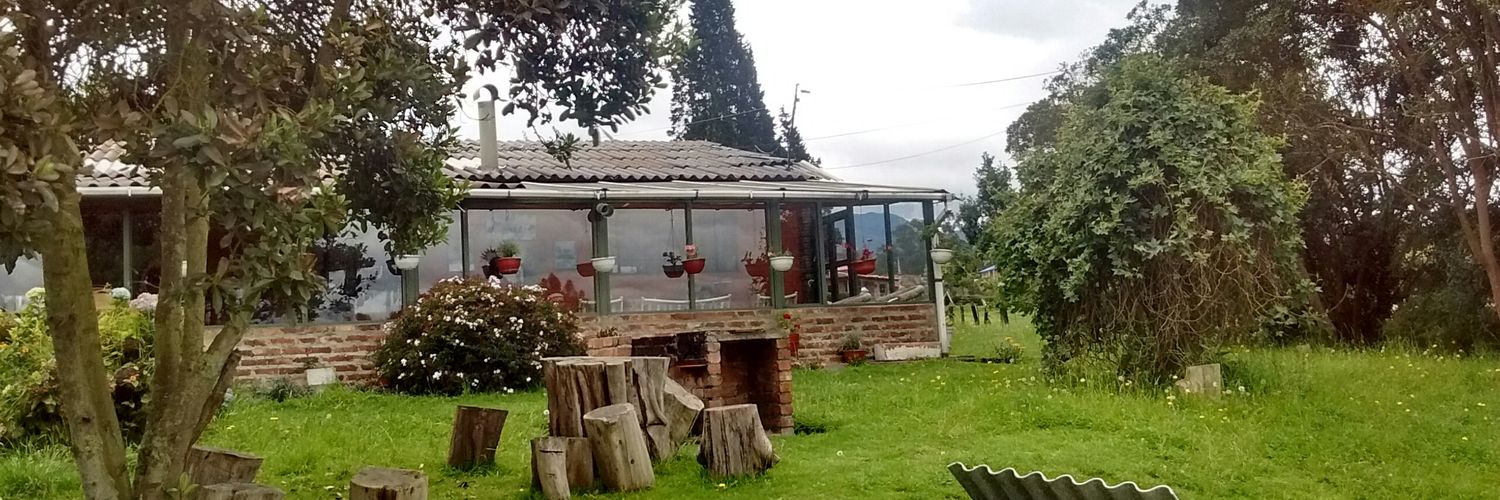 ingediegor's profile banner image