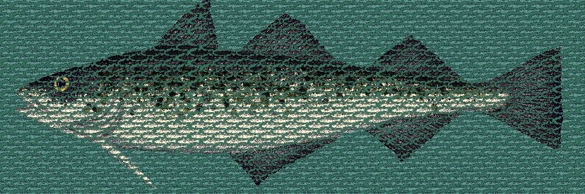 wildAKpollock's profile banner image