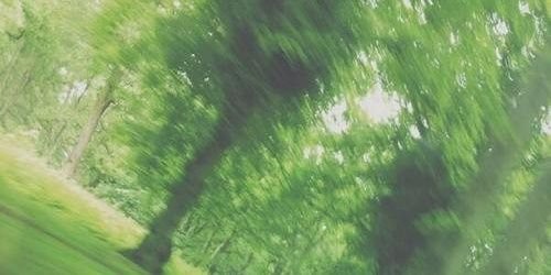 allgdrmicha's profile banner image