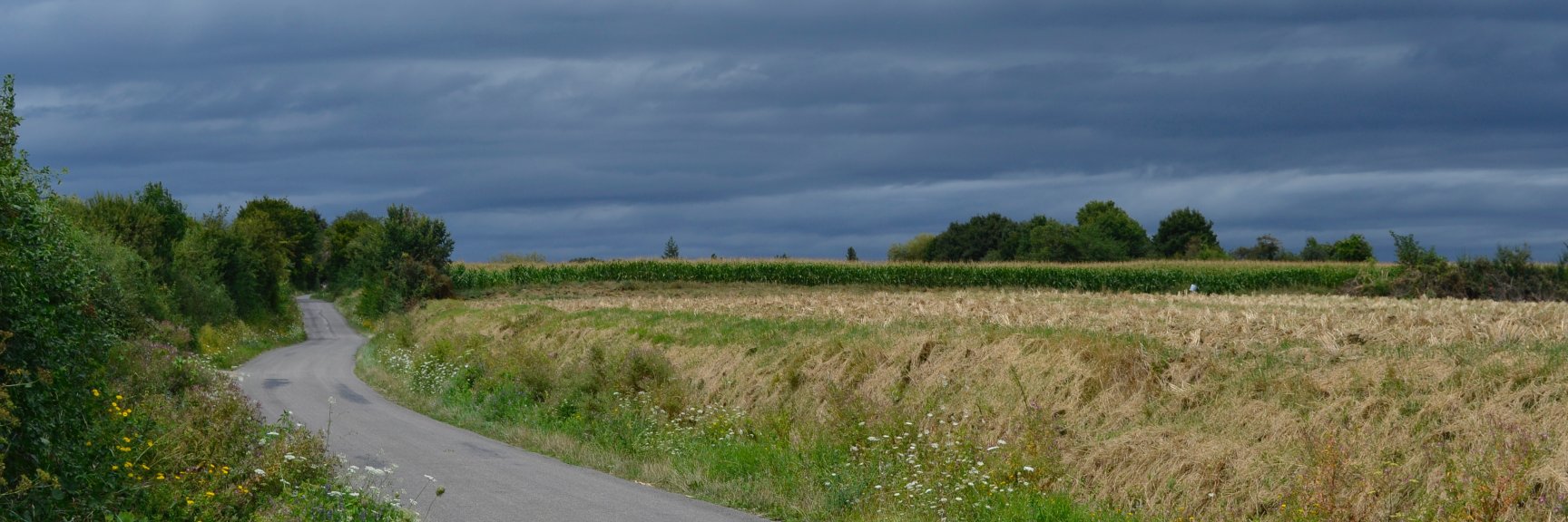 CAMILLE PHILIPPART banner