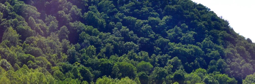 emsannr's profile banner image