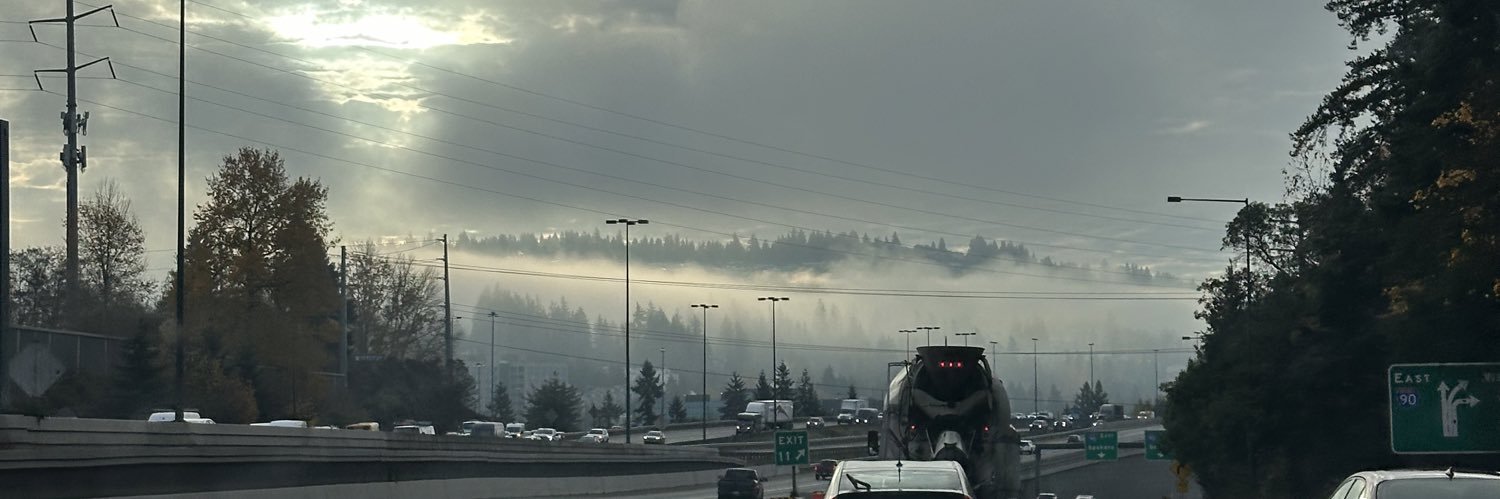 SpringerDLite's profile banner image