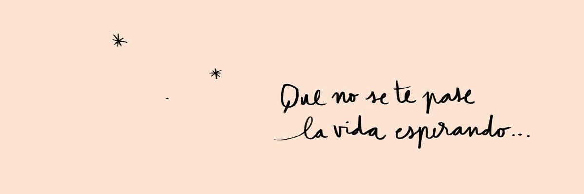 soylaveni's profile banner image