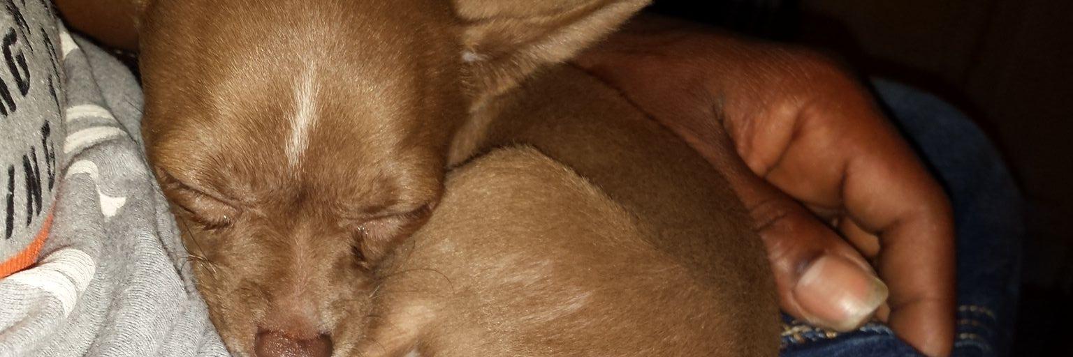 1miklil's profile banner image