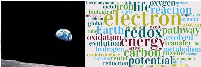 Jim Cox: ALL are entitled to due process of law. banner