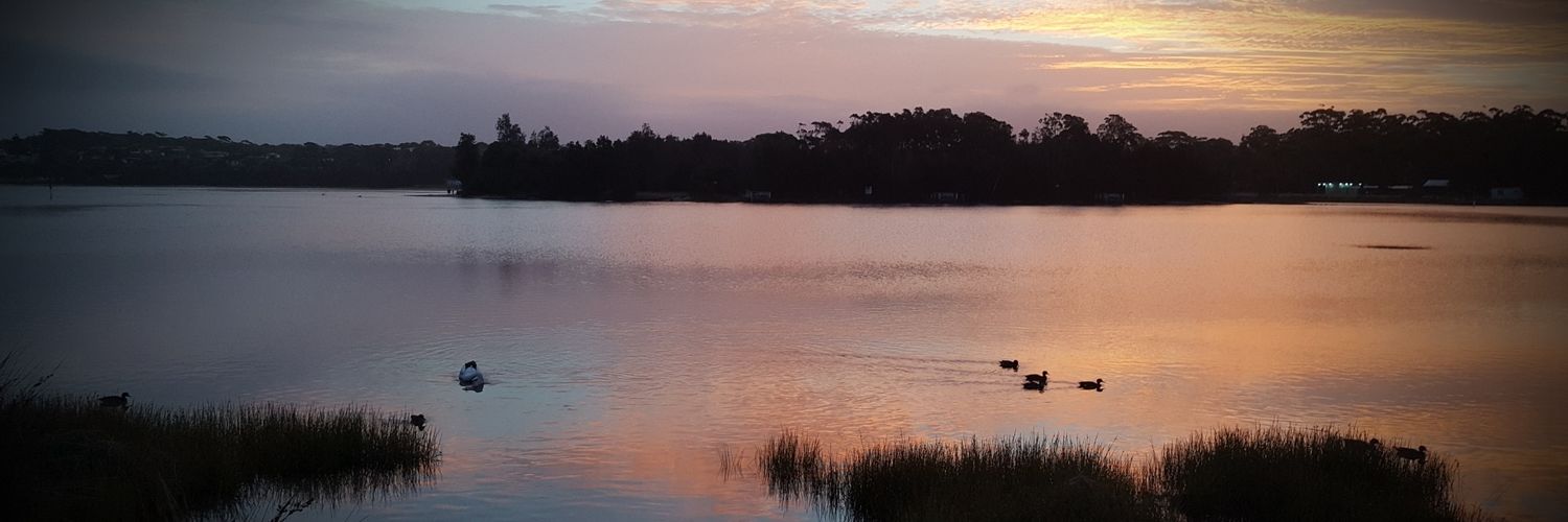 TwoNineDevine banner