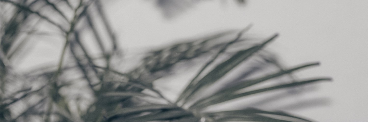Liia banner