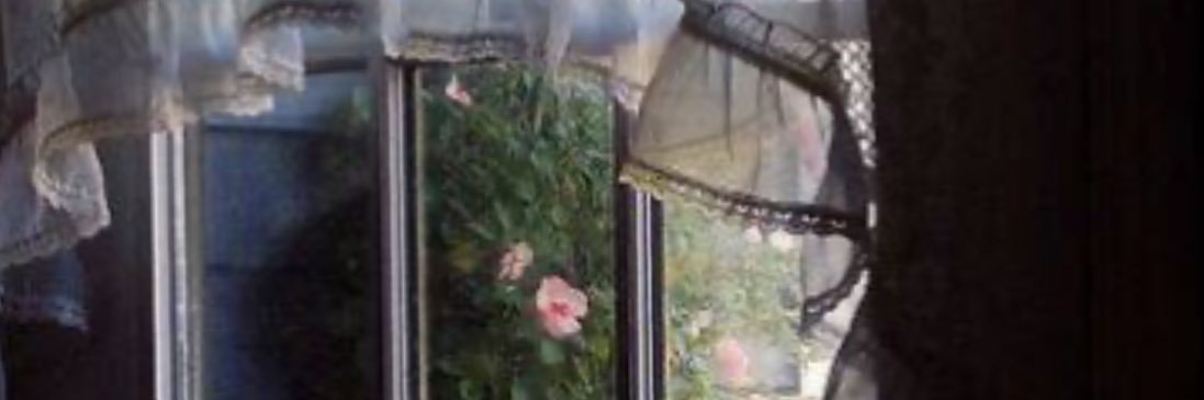 rahaf2661's profile banner image