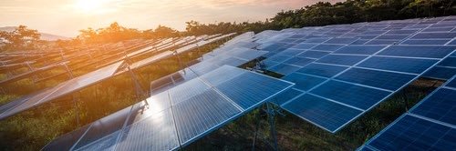 Colleen Smith banner