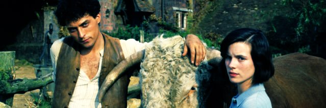 Rowan banner