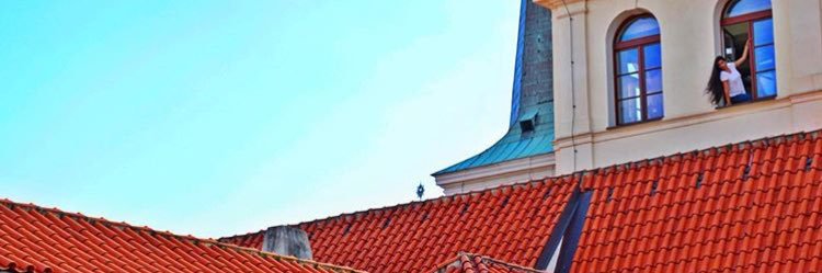 wesliwillow's profile banner image