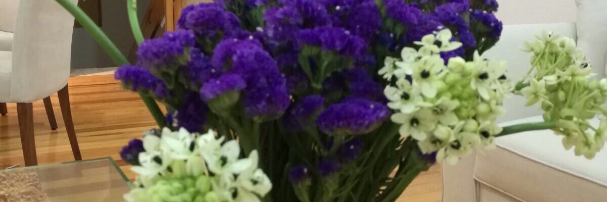 DoloresTrejo's profile banner image
