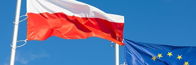 SzejkinStiwens banner