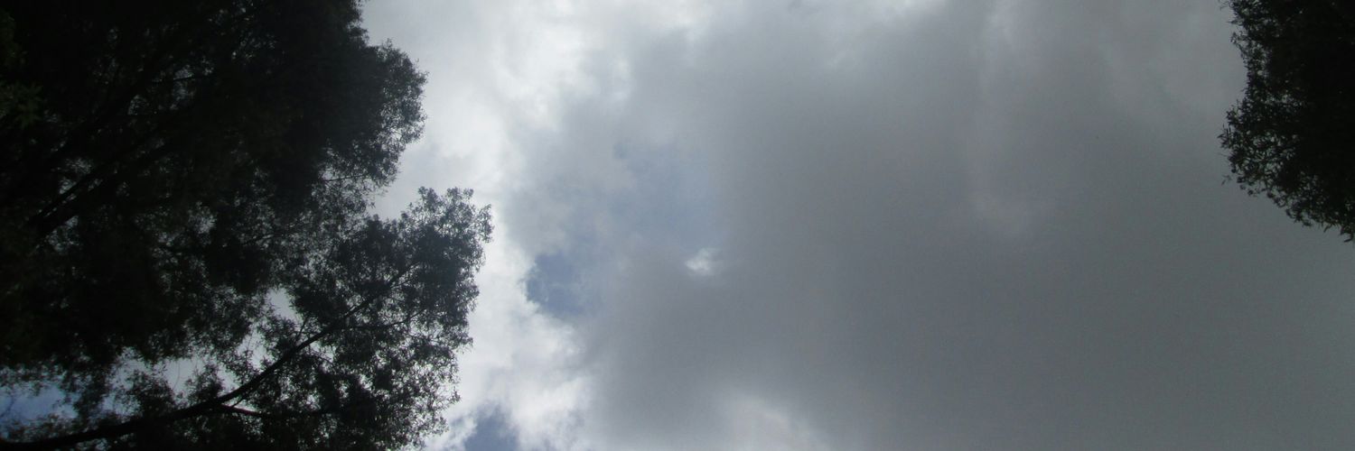 gusber90's profile banner image